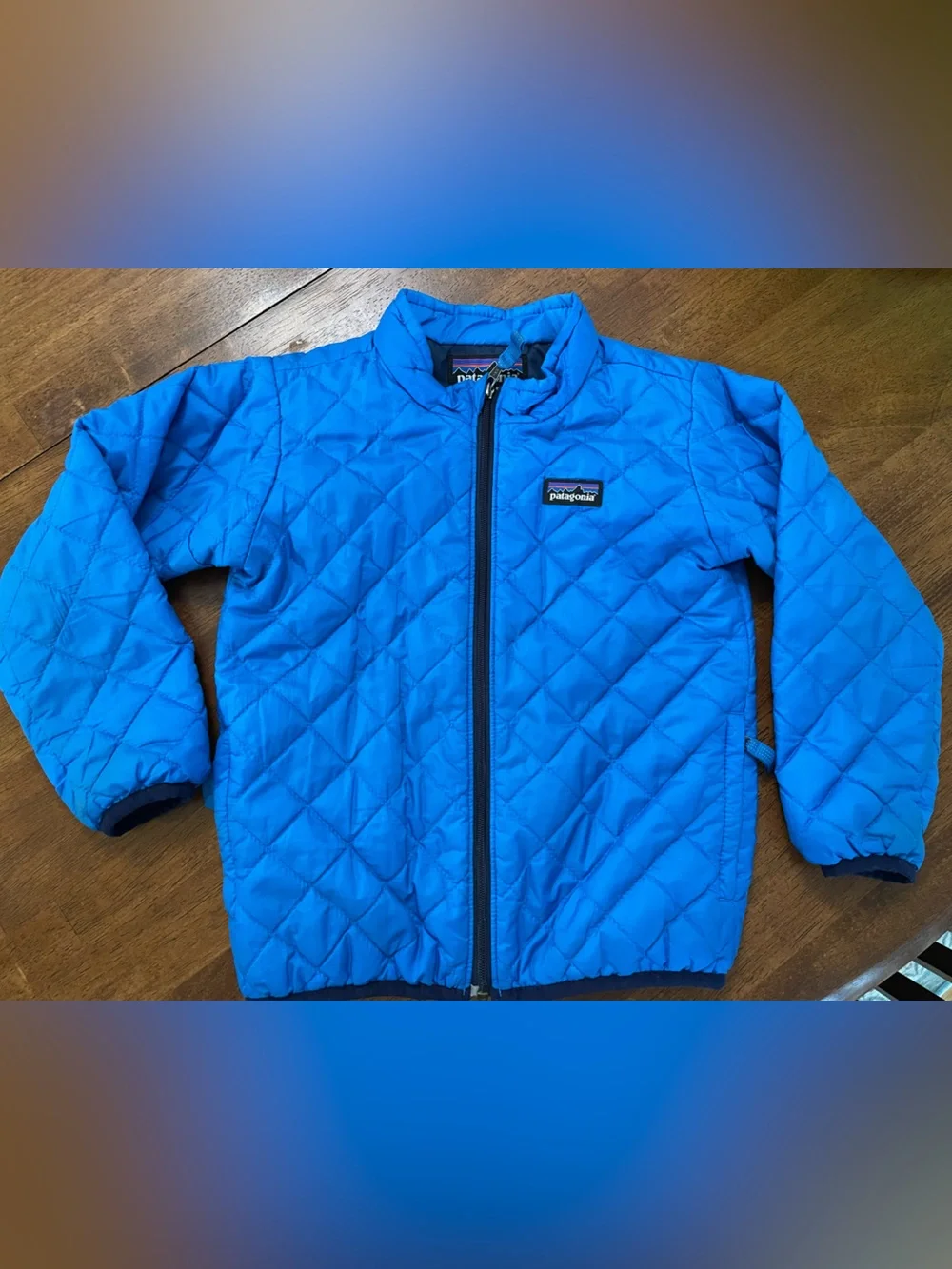 Patagonia Kids Blue Quilted Puffer Jacket
